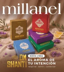 Millanel Campaña 11 2026 Argentina